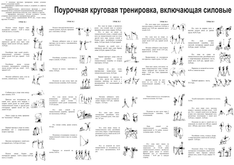 Комплекс упражнений для похудения в спортзале для женщин в картинках