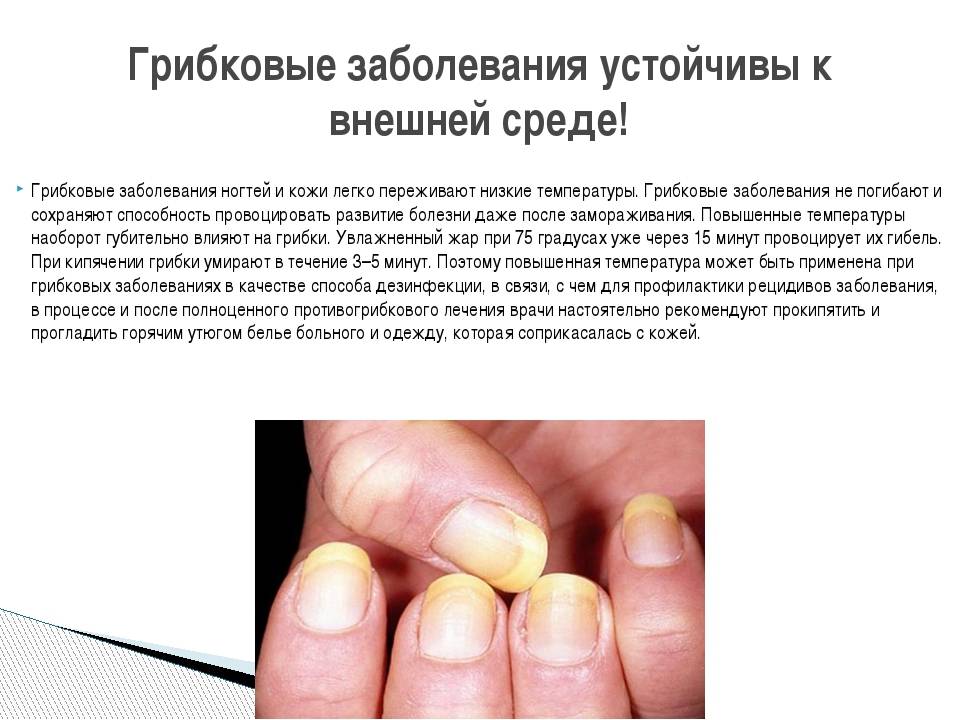 Грибковая инфекция кожи и ногтей | клиника семейный доктор