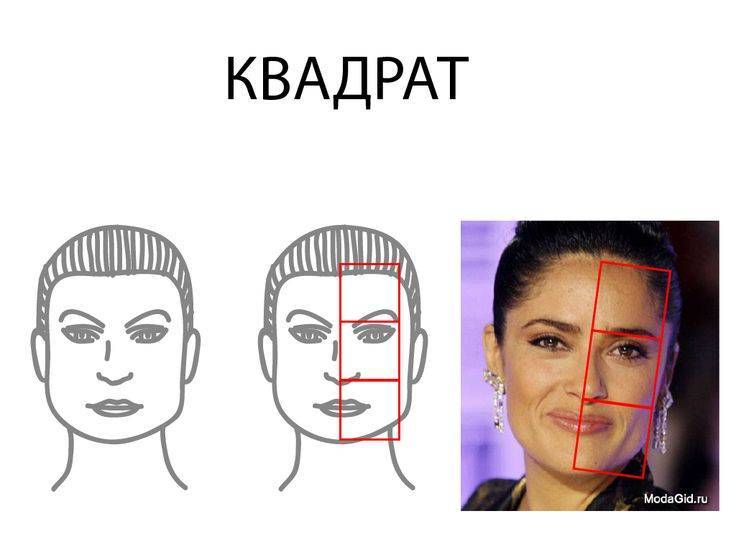 Физиогномика лица в картинках: читай по лицу