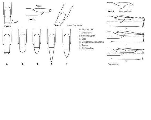 Опил форм ногтей техника схема