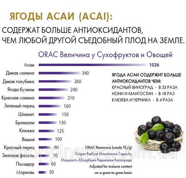 Ягоды асаи: польза для здоровья, как употреблять, где покупать + два рецепта смузи с асаи