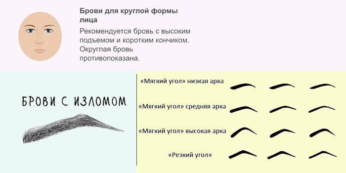 Виды бровей. как подобрать форму бровей по типу лица - janet.ru
