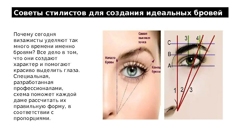 Моделирование бровей (40 фото)