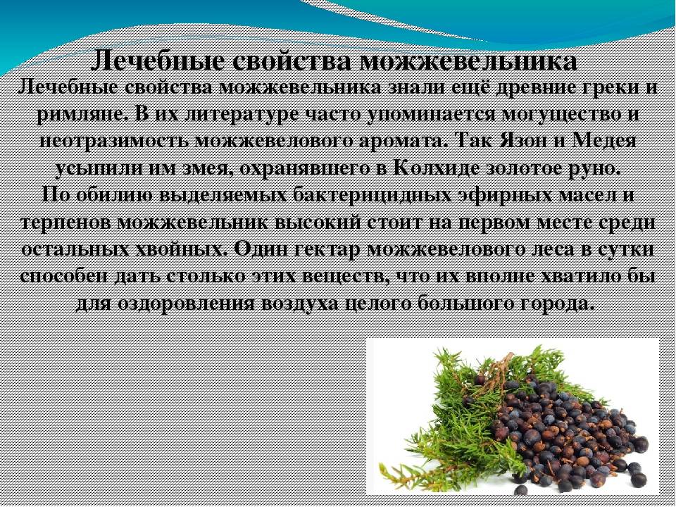 Масло можжевельника для красоты | травник