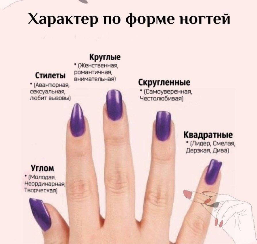 О чем говорят форма ногтей. как определить характер по форме ногтей? что означает цвет ногтя