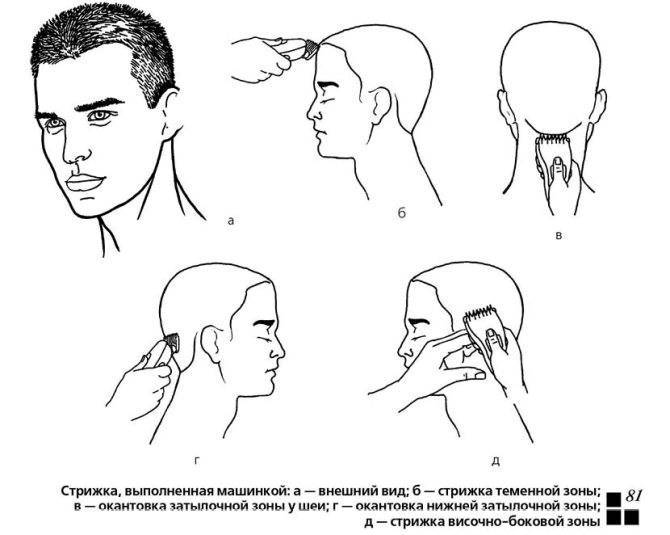 Мужские стрижки, более 100 фото. стильные виды стрижек на короткие, средние и длинные волосы | volosomanjaki.com