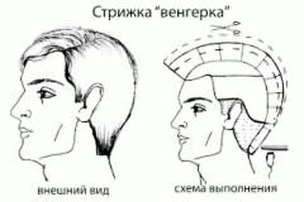 Классическая стрижка мужская точная пошаговая схема выполнения