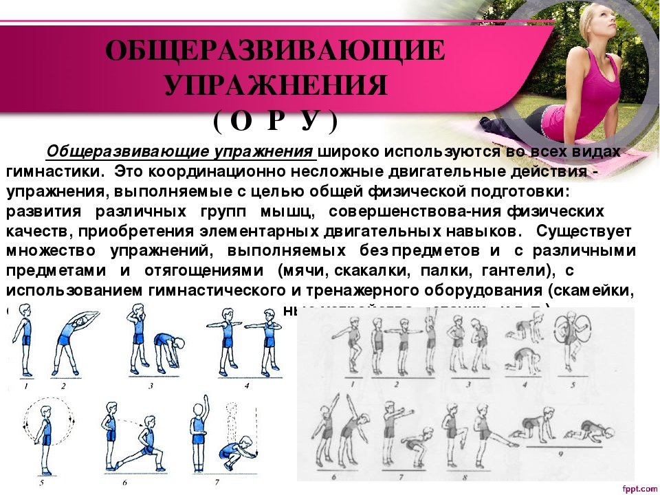 Спортивная и художественная гимнастика – что это и отличия - premudrosty.ru