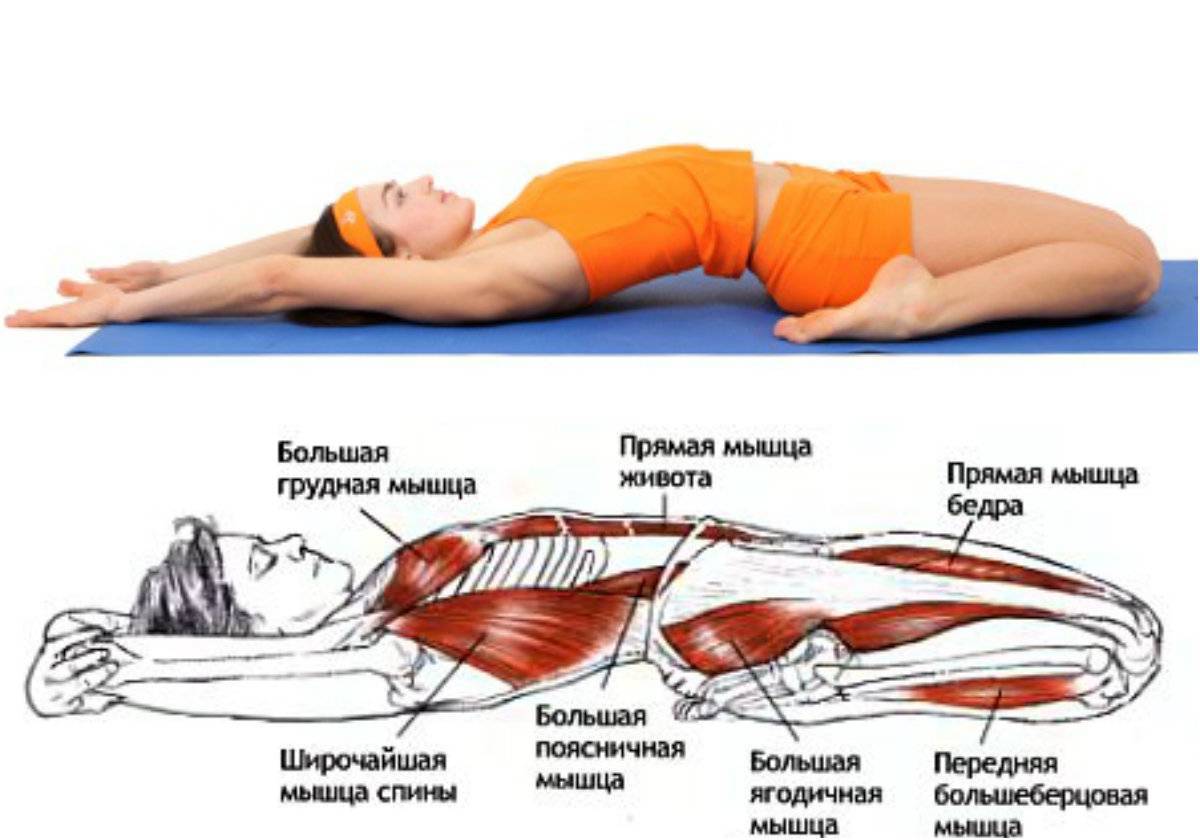 Спазм подвздошно-поясничной мышцы: упражнения на растяжку и расслабление