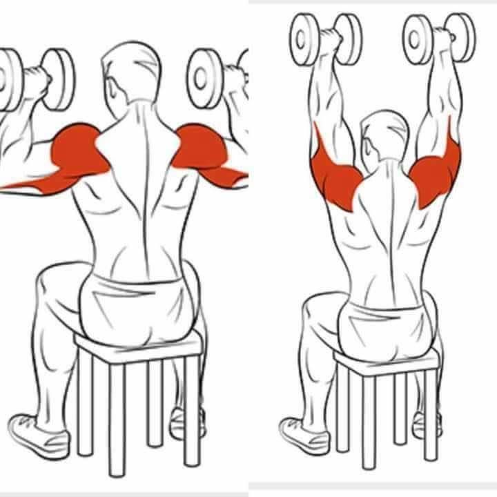 Как накачать спину: мощные советы для развития v-образных мышц спины