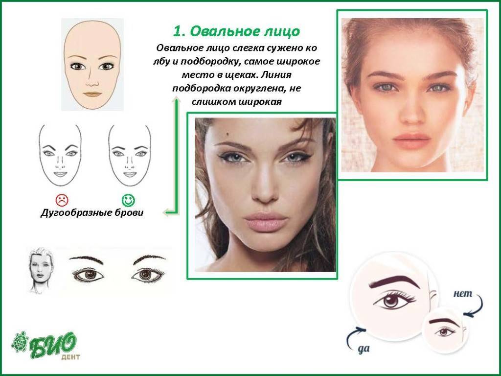 Форма бровей по типу лица: правильная форма для разных типов (фото схема)