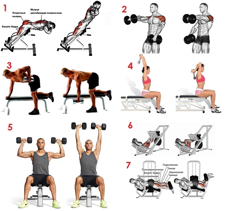Упражнения на спину в тренажерном зале для мужчин на рельеф с картинками для начинающих