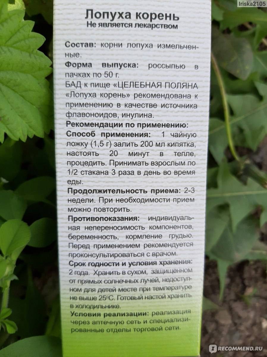 Сок лопуха — лечебные свойства и применения растения