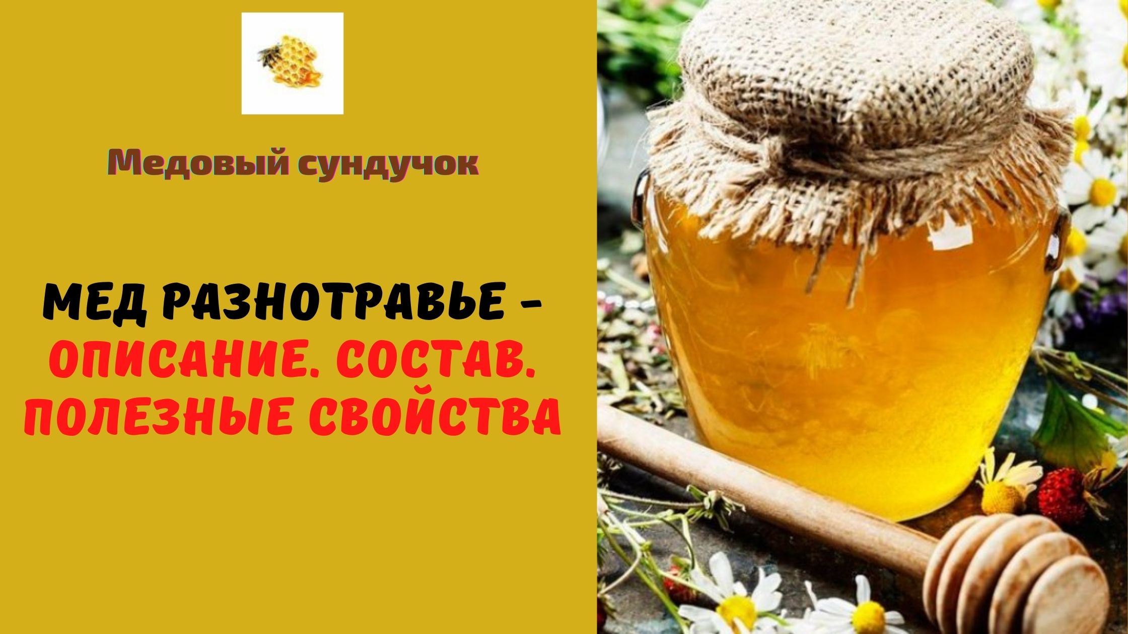Полезные свойства меда: какие болезни он лечит и как правильно его принимать