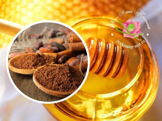 Свойства и особенности употребления корицы с мёдом