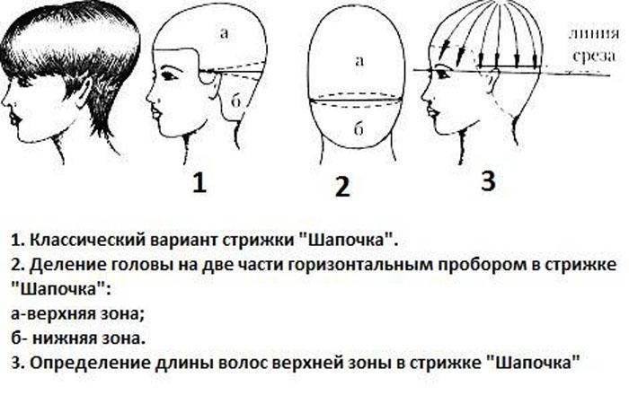 Схема стрижки равномерной стрижки