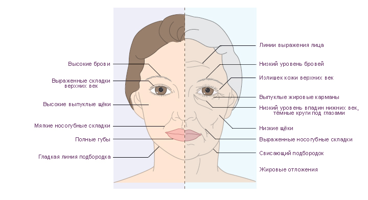Возрастные изменения кожи - частная клиника лазерной косметологии: кабинеты косметолога, дерматолога в красногорске