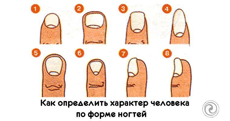 Как узнать характер по форме ногтей и рук
