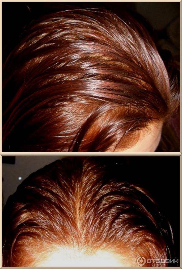 Хна и басма: пропорции и цвет, фото окрашивания волос, как получить оттенки (шоколадный, черный и другие) в домашних условиях, отзывы, результат на седых волосах