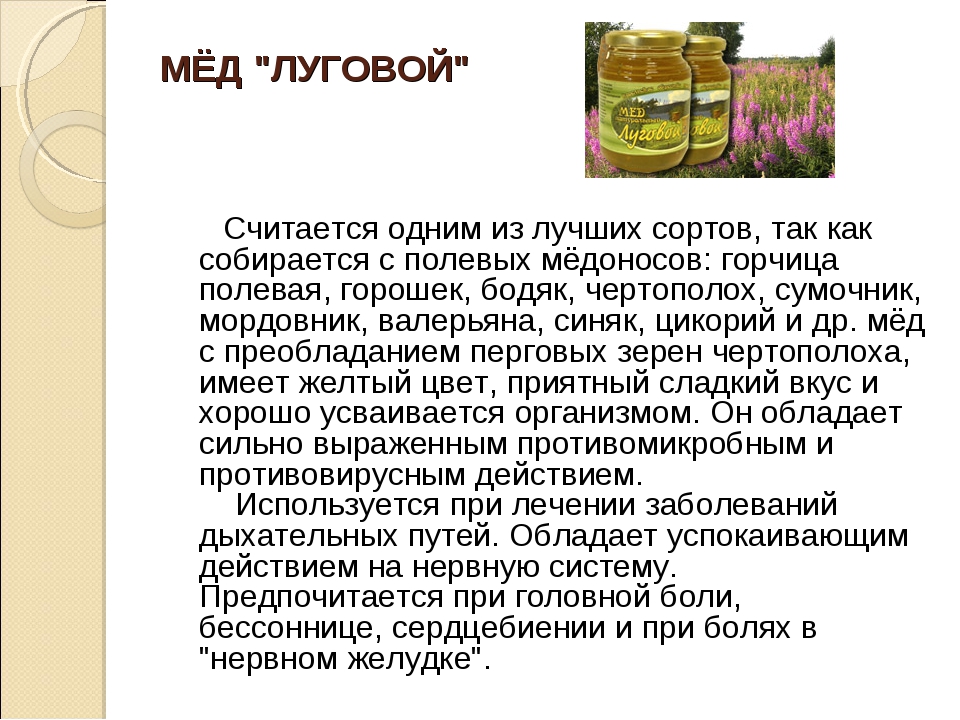 Мед из плюща польза фото и описание