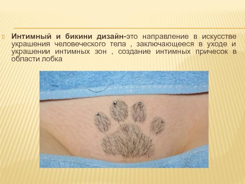 Виды интимных стрижек женских в домашних условиях (фото) | quclub.ru