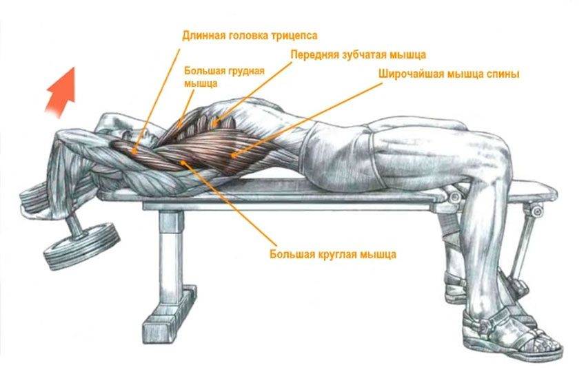 Упражнения для красивой груди