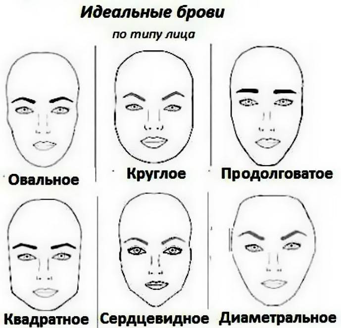 Как понять, какая форма бровей тебе подходит: подбор по типу лица