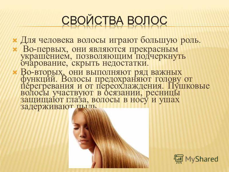 Сухие кончики волос: причины, чем увлажнять, как ухаживать, средства и маски