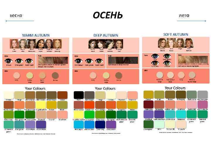 Макияж по цветотипу: определение цветотипа внешности (лето, весна, осень, зима), макияж для каждого цветотипа