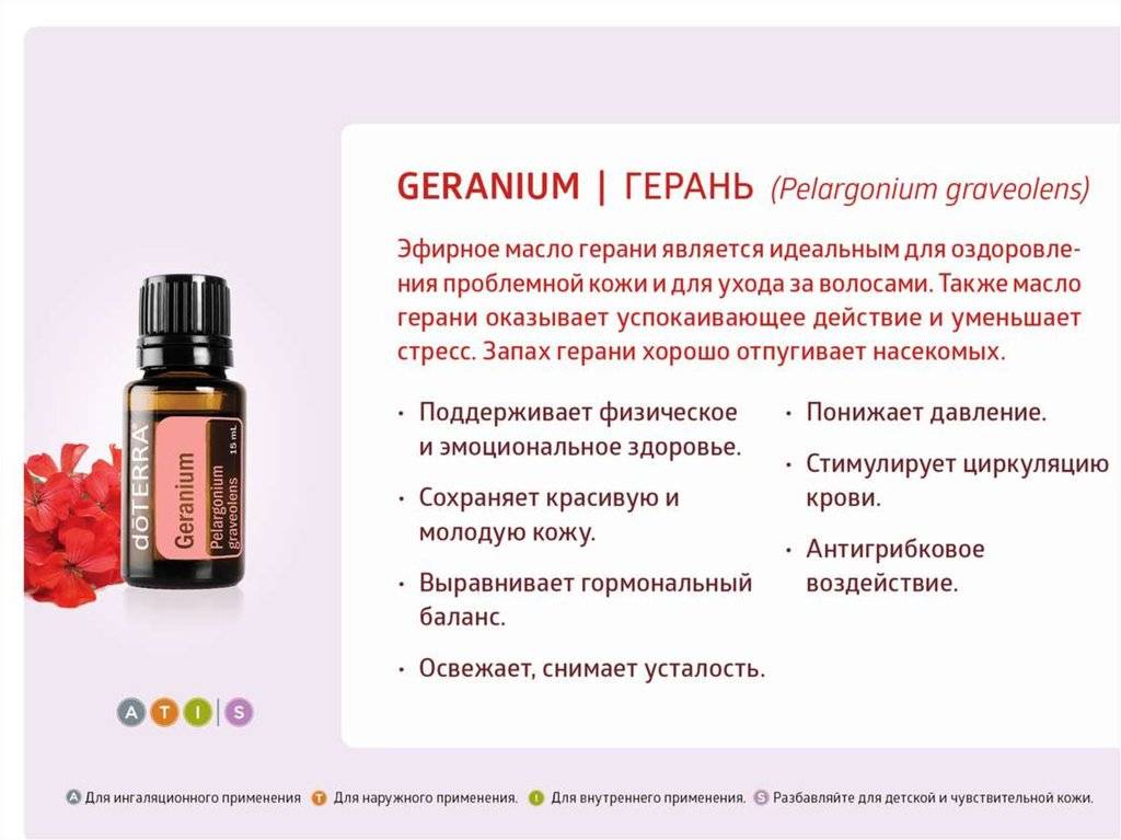 Эфирное масло герани: свойства и применение в косметологии