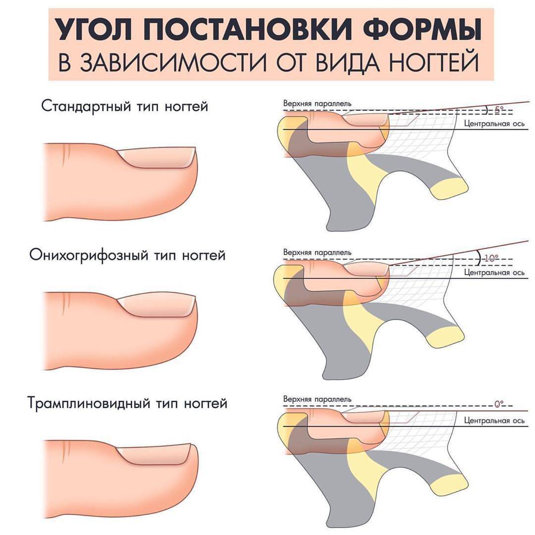 Схема постановки форм для наращивания ногтей