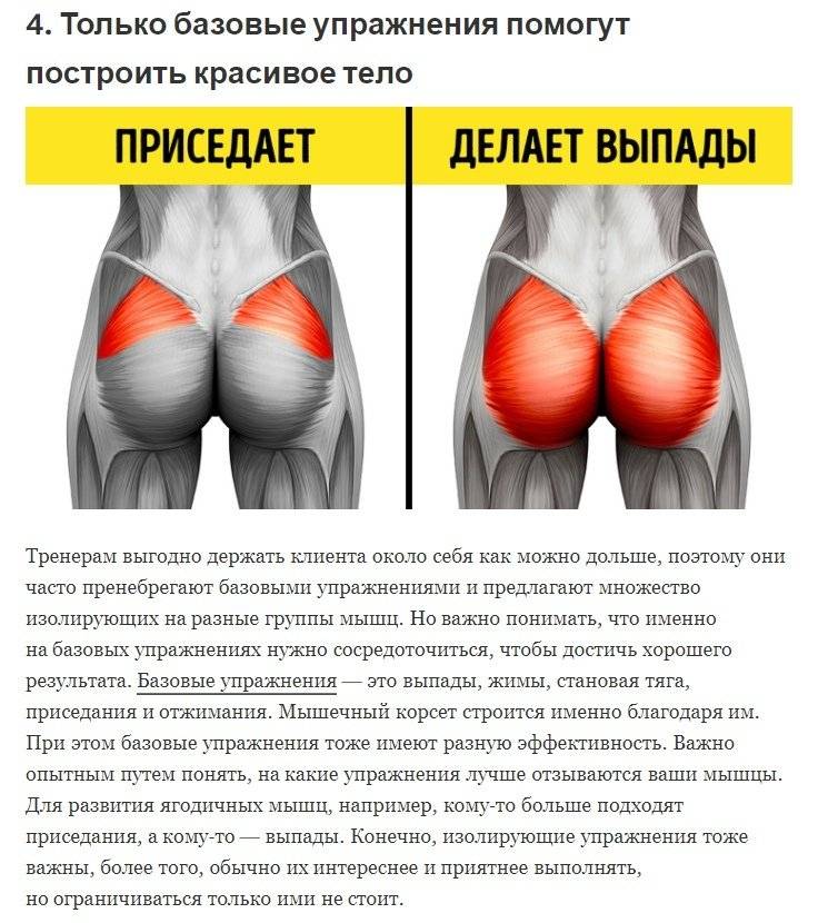 Упражнения для ягодиц с гантелями для женщин дома и в зале | irksportmol.ru