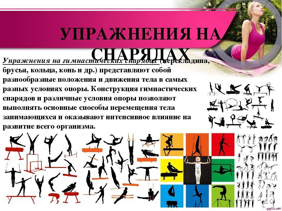 Виды спортивной гимнастики