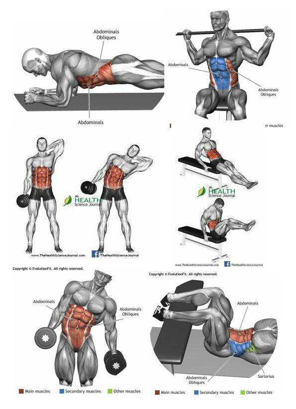 Упражнения для мышц спины в тренажерном зале
