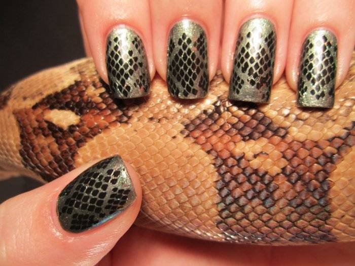 Рептилия на ногтях: как сделать маникюр с эффектом змеиной кожи - пошагово