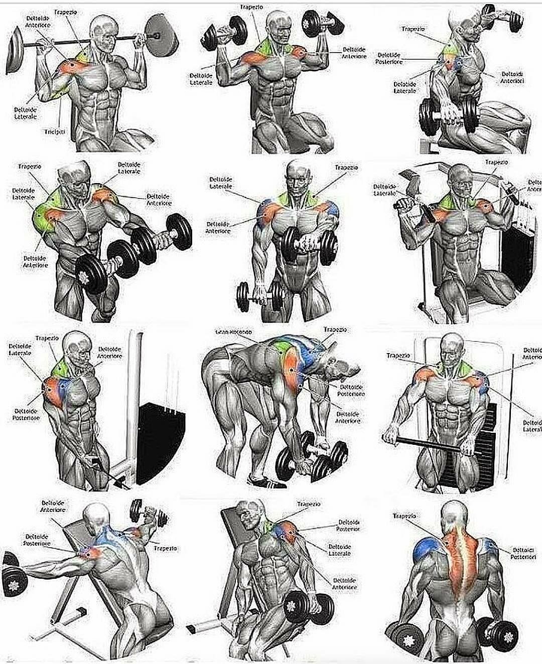 Базовые упражнения на плечи в тренажерном зале для мужчин