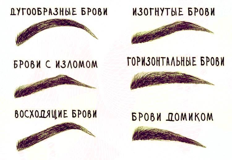 Какие бывают брови: как подобрать идеальную форму по типу лица - browvi.ru