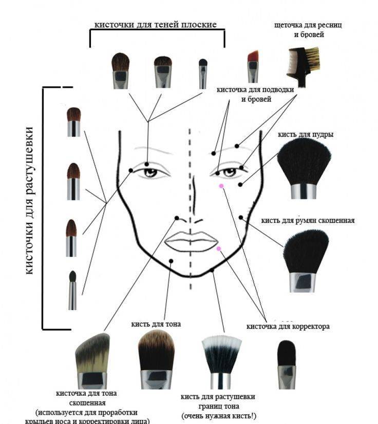 Кисти для макияжа – виды, какая для чего нужна - экспертный обзор - журнал expertology