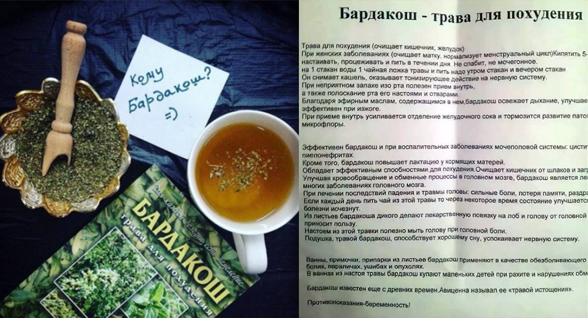 Пьют ли мочегонные на ночь. Трава для похудения. Трава чтобы худеть. Травы понижающие аппетит. Для снижения аппетита и веса травы.