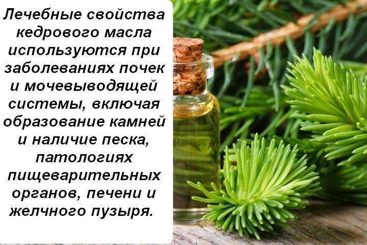 Кедровое масло для лица: польза, применение, рецепты
